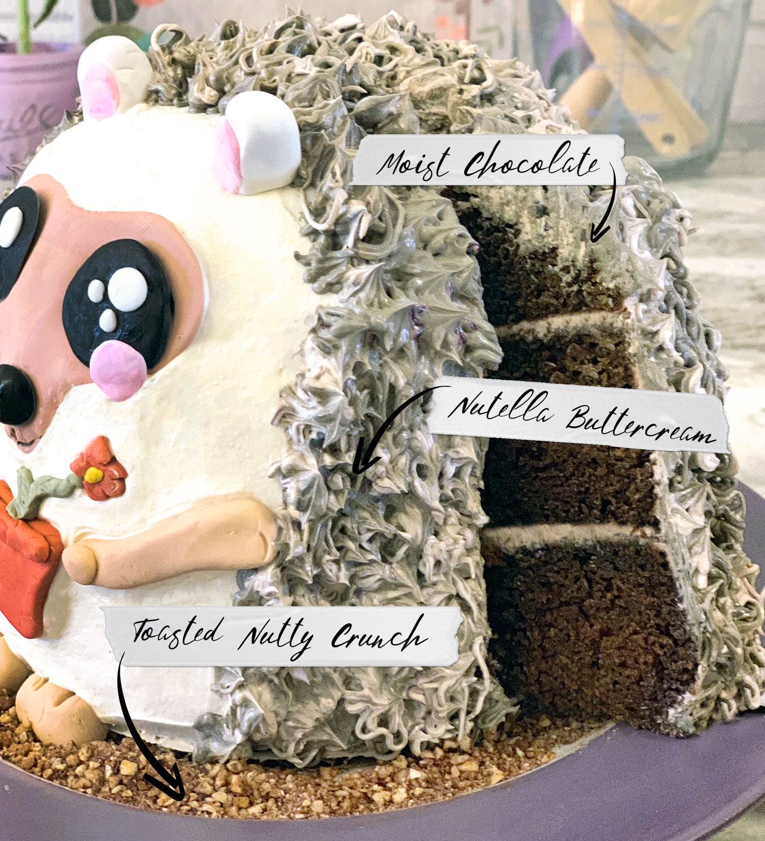 Chocolate Hedgehog Cake Tutorial Lexis Rose