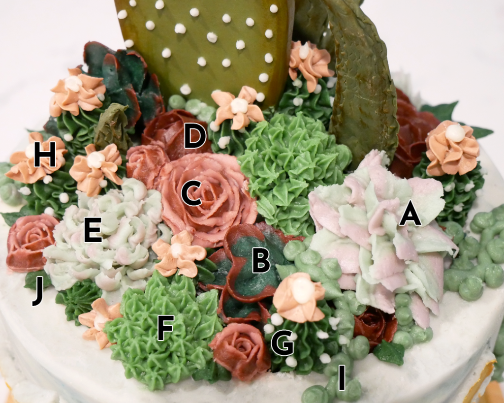 succulent and flower piping tip chart
